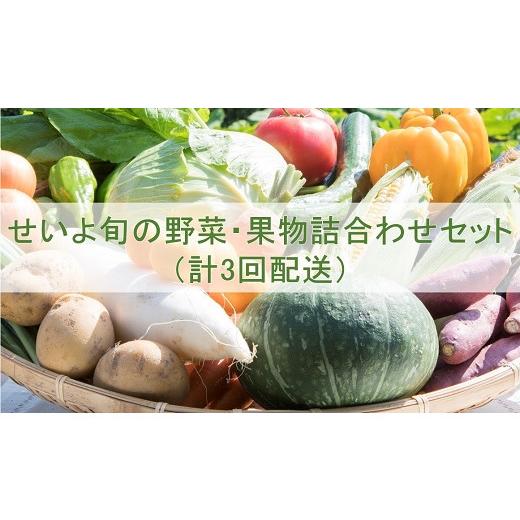 ふるさと納税 愛媛県 西予市 せいよ旬の野菜・果物詰合わせセット　月1回3か月（計3回配送）