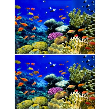 MIMINEAQUA 海底之旅 B款 魚缸背景海報 2入  61 x 41cm  B款 深海藍  2個