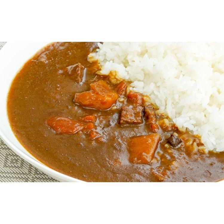 おおみなと海自カレー ビーフカレーセット