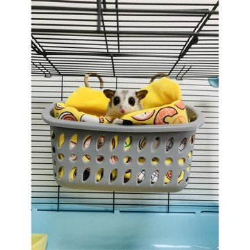 蜜袋鼯窩保暖棉窩可替換內膽清洗方便松鼠花枝鼠可用四季吊床睡袋