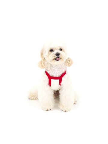 [Kinikini X EarpEarp] SWAG COVY CROP TOP - RED