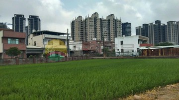 中壢洽溪段農地(特農部份持分尚未分割 持分出售)｜桃園市中壢區洽溪段