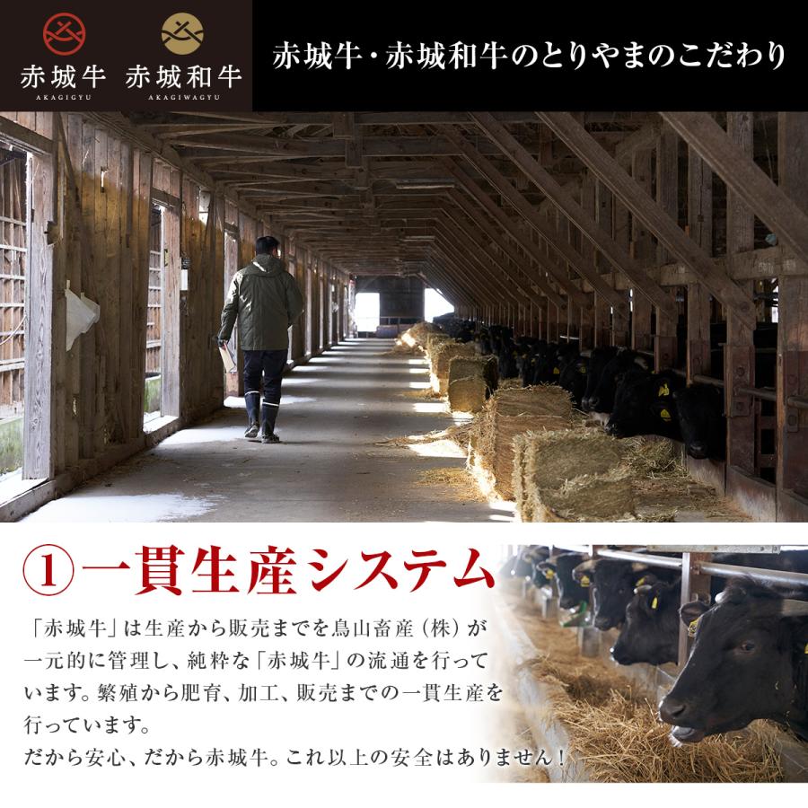 肉 お肉 牛肉 国産 赤城牛ヒレ ステーキ100g×2枚 ギフト 冷凍 真空　送料無料 内祝 御祝