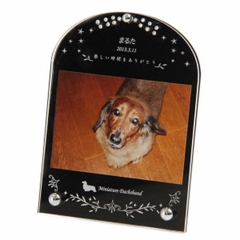 フラッシュセール メモリアルフォトフレーム ブラック ブルテリア フォトフレーム 装飾品 犬用 直販オンラインストア Gaplogexpress Com Br