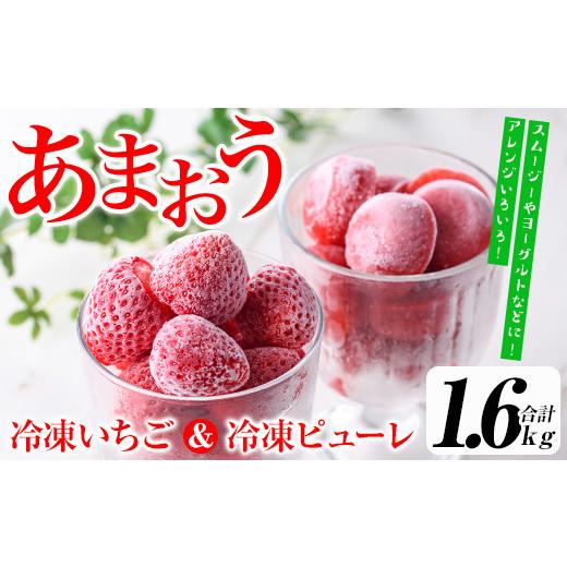 ふるさと納税 福岡県 春日市 福岡県産いちご 冷凍あまおう・冷凍あまおうピューレ 食べ比べセット (合計約1.6kg・各800g)＜離島配送不可＞【よっち…