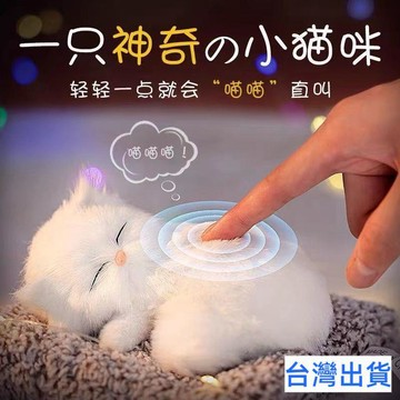【台灣有貨 免運】會叫竹炭活性炭會叫仿真貓咪小貓模型毛絨玩具公仔娃娃布偶貓擺件