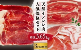 ジビエ 天然イノシシ肉 人気部位 総量3.65kg [OAJ076]