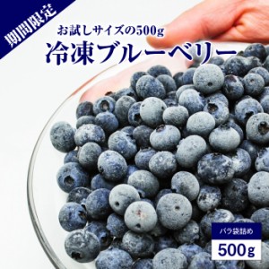 冷凍ブルーベリー お試し約500g サイズ混合 ブルーベリー ベリー 冷凍果実 フルーツ 果物 くだもの 送料無料 ダンボール箱でお届け   沖