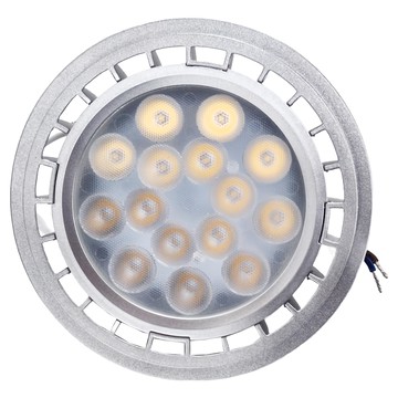 DANCELIGHT 舞光 LED 免驅投射燈泡 4000K  自然光  1個