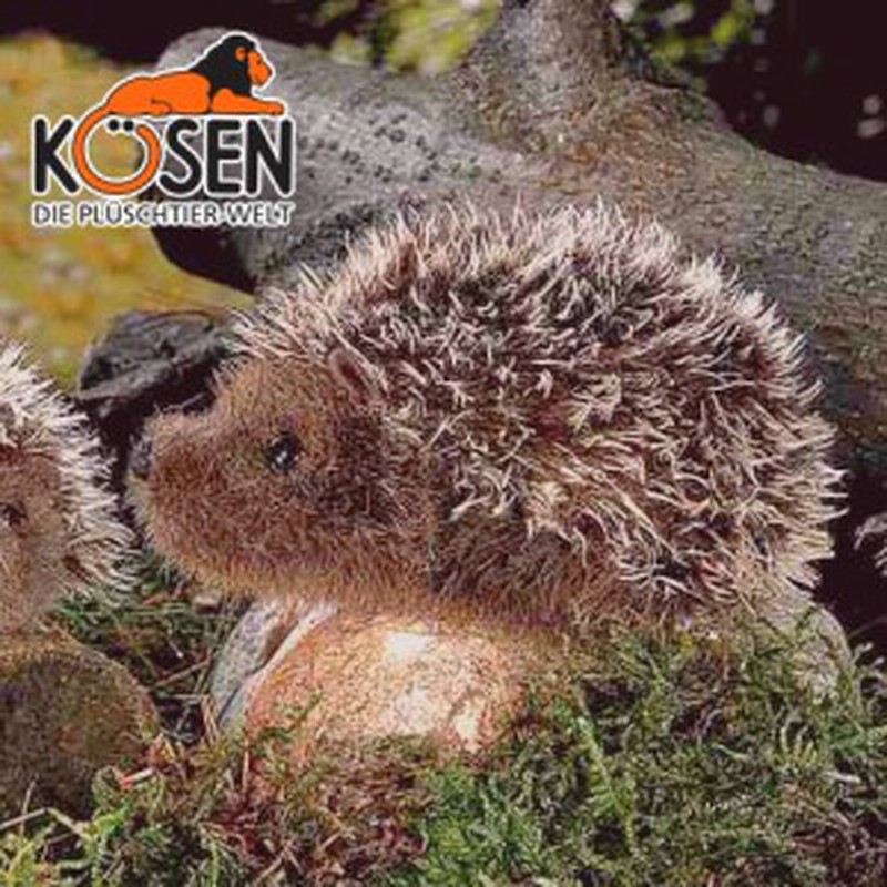 Koesen ケーセン社 モヘアハリネズミ 大 5170 ドイツ Koesen Kosen ケーセン社 の動物のぬいぐるみ 愛らしい表情の はりねずみの 通販 Lineポイント最大1 0 Get Lineショッピング