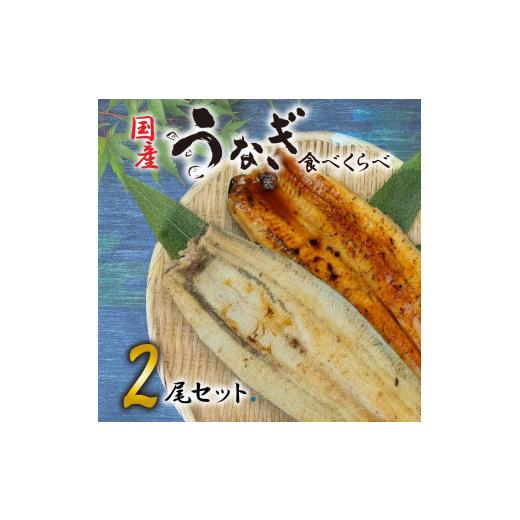 ふるさと納税 静岡県 沼津市 国産 高級 うなぎ 白焼き 静岡焼き セット 食べ比べ 尾  蒲焼 無頭 タレ 真空 冷凍 送料無料 鰻丼 鰻重 ひつまぶし うな丼 うな…