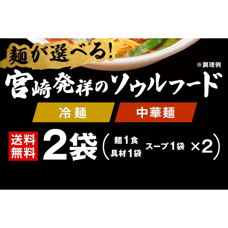 宮崎 辛麺 2食 麺が選べる 冷麺 中華麺 送料無料 セール 1000円 辛ラーメン 宮崎辛麺 激辛 お土産 手土産 レトルト 惣菜 食品 ギフト [産直]