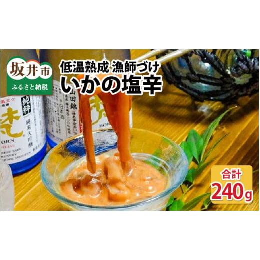 ふるさと納税 福井県 坂井市 低温熟成 漁師づけ 日本海産の肉厚な刺身用スルメイカで作った「いかの塩辛」 120g × 2パック 【2024年2月上旬以降…