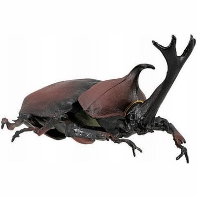 クワガタおもちゃの通販 285件の検索結果 Lineショッピング