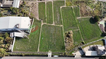 豐原豐科路近國道開心農場最佳首選大又方正｜台中市豐原區東湳北段