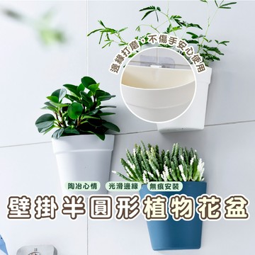 嘉義發貨DA163 壁掛式塑料盆栽花器 植物花盆 墻壁陽臺室內牆上盆景 半圓形小花盆 水培花盆 壁掛式收納盒 塑膠花盆