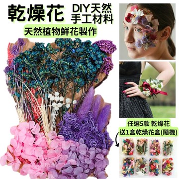 【A-ONE】永生花材料包 短枝綜合乾花材料 花材盒 苔癬 永生繡球 小花瓣不凋花 材料 永生花 花材 C12 紫色花園_廠商直送