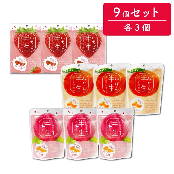 おいしい半生ドライフルーツ3種9個セット 現在出荷分 賞味期限 ピーチ：2024.4.3 みかん：2024.4.4 いちご：2024.5.3