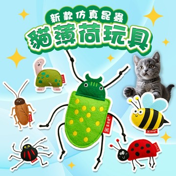 《小貓亂亂買》新款仿真昆蟲貓薄荷玩具 逗貓玩具 磨牙玩具 貓薄荷玩具 貓薄荷抱枕 逗貓 貓薄荷 貓咪自嗨玩具 貓玩具 貓