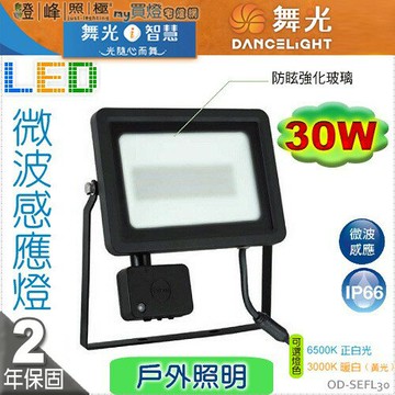 【舞光LED】LED-30W。戶外微波感應燈．IP66 附防水驅動 智慧感應 保固延長 #SEFL30【燈峰照極my買燈】