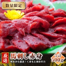 熊本直送　馬刺しブロック肉　赤身500g(合志市)