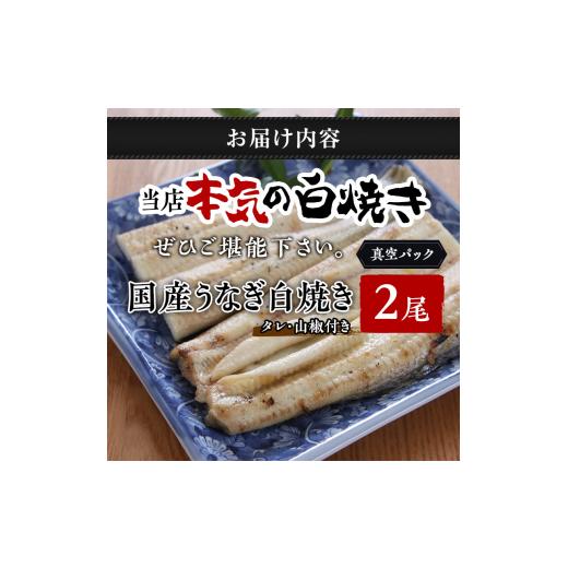 ふるさと納税 静岡県 湖西市 特撰うなぎ白焼き2尾（真空パック）