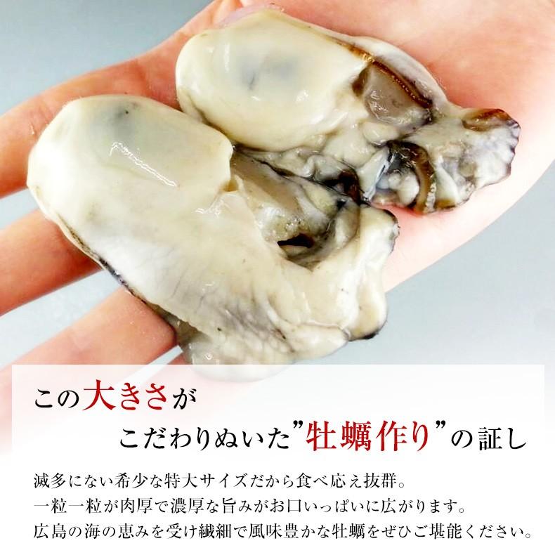 かき 牡蠣 冷凍 広島県産 地御前カキ 1kg お取り寄せ グルメ プレゼント お歳暮 2023 ギフト