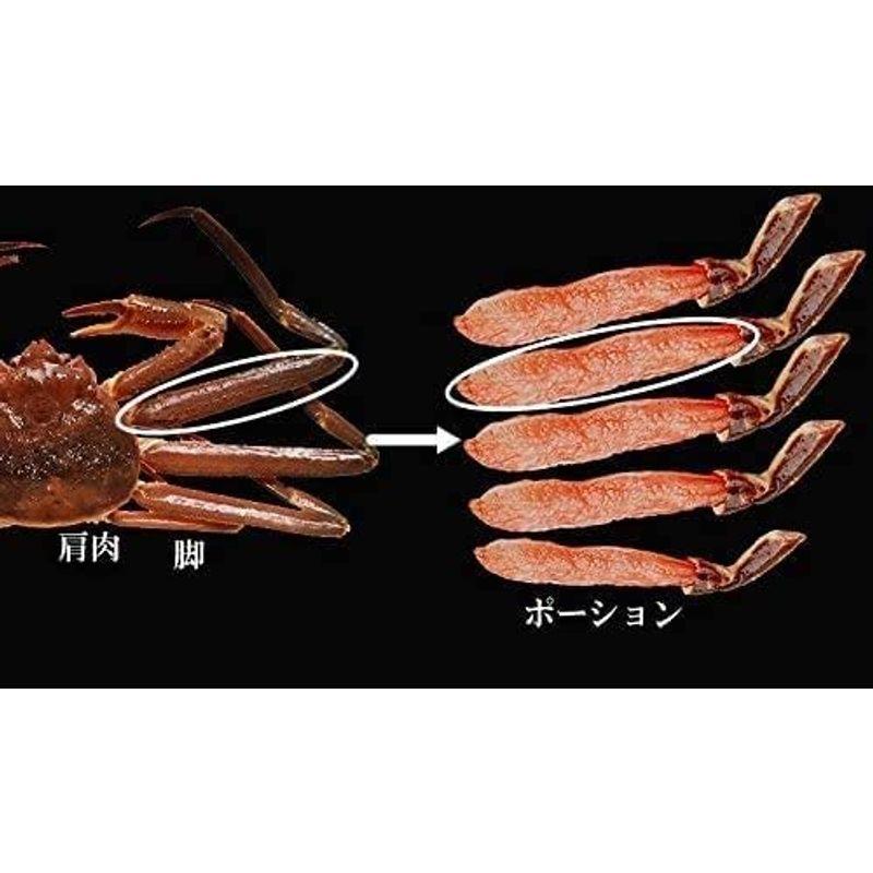 生ズワイ蟹 足ポーション 生食OK しゃぶしゃぶ 1kg (500g(15本?25本入)×2個)