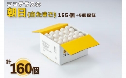 ココテラスの朝日（白たまご）155個   5個保証（計160個）