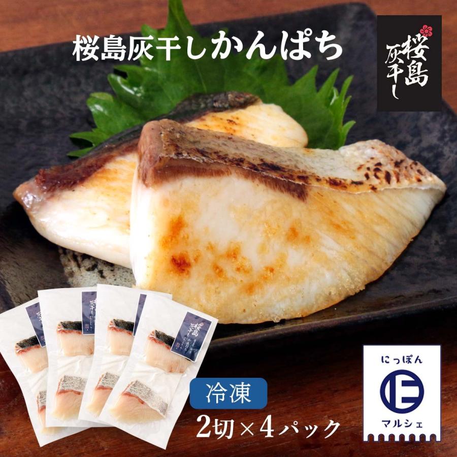 送料無料 [清泉社] 魚介類加工品 かんぱち 2切×4パックセット 干物 ひもの おつまみ 灰干し 桜島 鹿児島 手作り