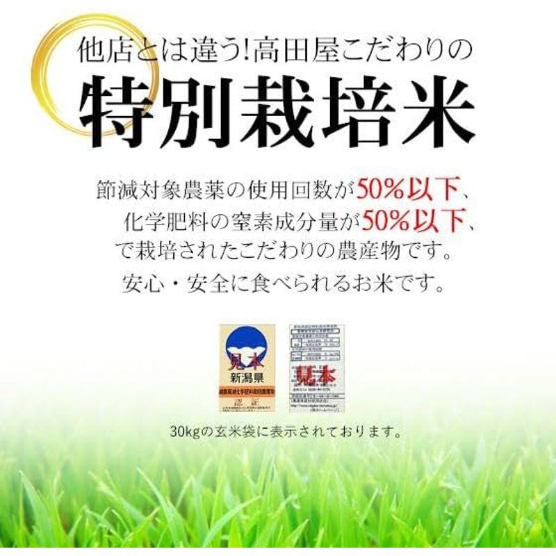 新米 精白米 5kg 特別栽培米 新潟産コシヒカリ 令和5年産 安心安全