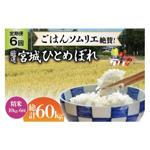 ふるさと納税 宮城県 加美町 米 『定期便』厳選宮城ひとめぼれ 精米10kg 全6回 [菅原商店 宮城県 加美町 44580973]