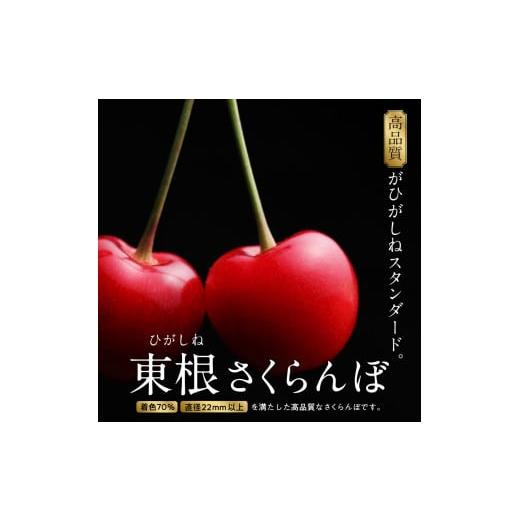 ふるさと納税 山形県 東根市 GI「東根さくらんぼ」 2024年産 佐藤錦500g化粧箱詰め JA産直提供