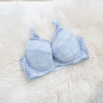 【日藏內衣】MIT花境輪廓 支撐包覆 機能內衣 C-G罩杯 (水藍)366