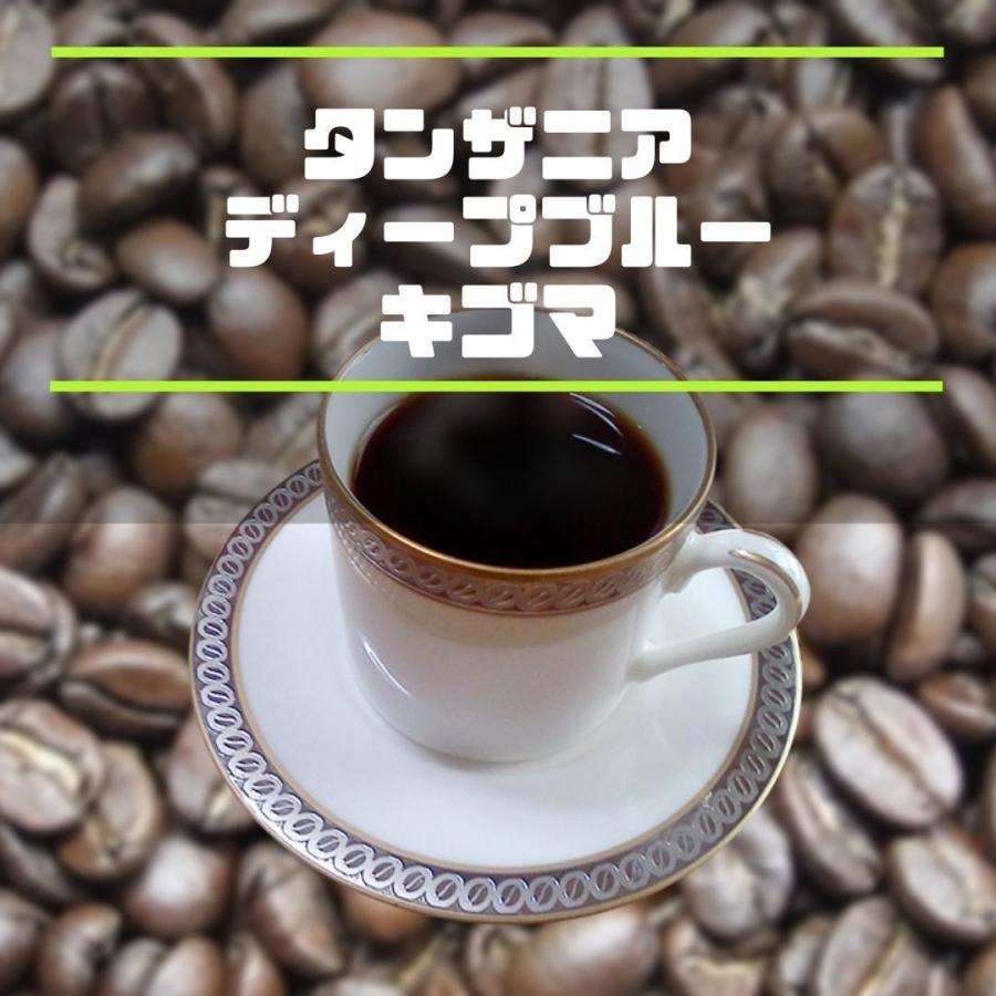 20杯分 タンザニアAA 自家焙煎コーヒー豆(酸味系)