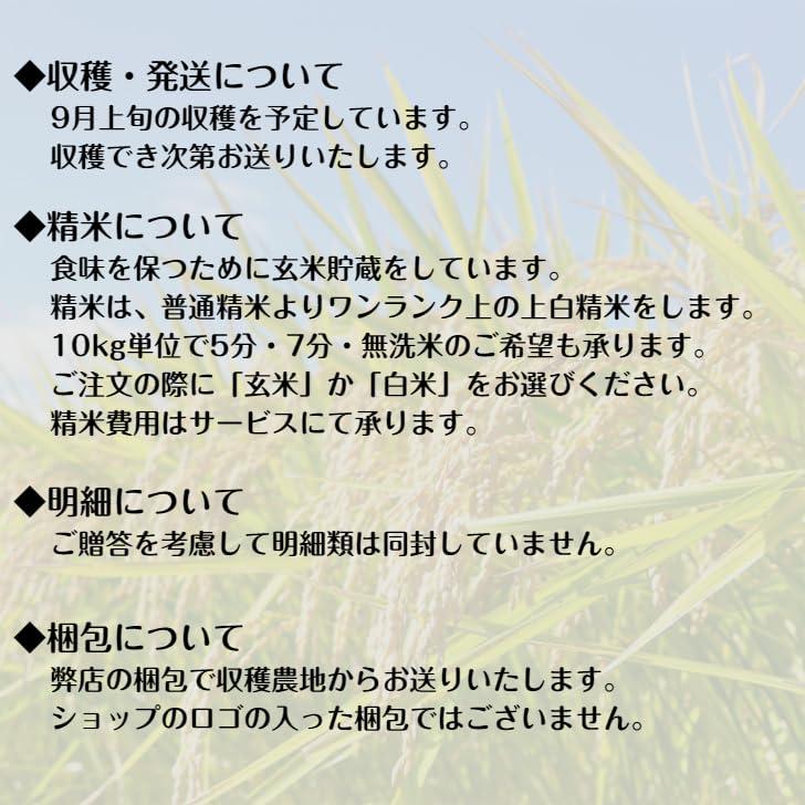 宇和海の幸問屋 2023年産 石鎚山麓 久万高原 コシヒカリ 玄米 1kg 清流米 減農薬 特別栽培米