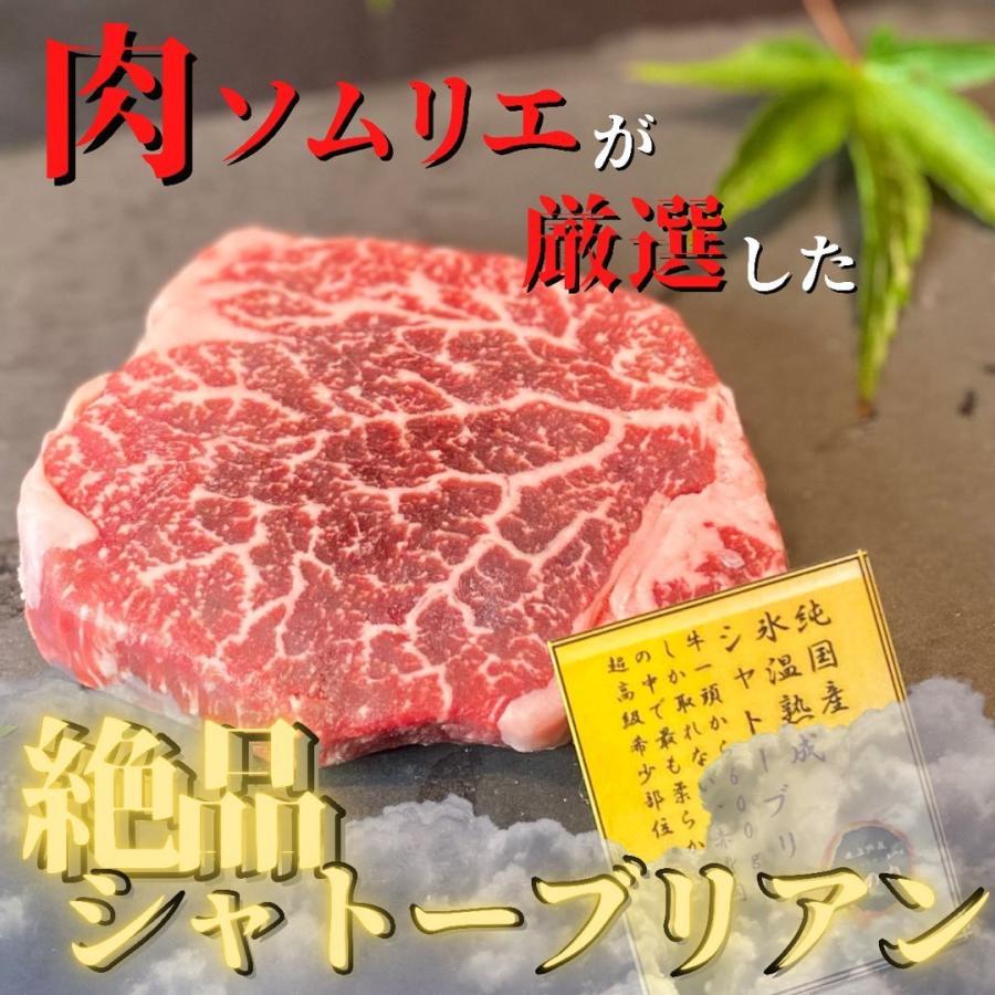 シャトーブリアン ヒレ ステーキ 各100g×1 低温熟成 国産 牛 焼肉 赤身 肉 セット お洒落 贈り物 華型