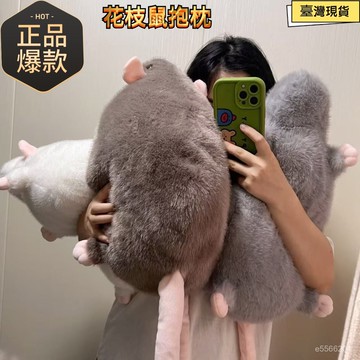 ☀️臺灣出貨☀️花枝鼠玩偶 花枝鼠公仔 仿真老鼠玩偶 南方大老鼠 大老鼠公仔 花枝鼠 可愛老鼠玩偶 禮物 交換禮物 搞怪
