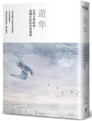 遊隼：自然文學經典，追隨幻影的詩意凝視【城邦讀書花園】