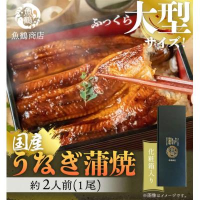 ふるさと納税 九度山町 大型サイズ　ふっくら柔らか国産うなぎ蒲焼き1尾(約2人前)　化粧箱入