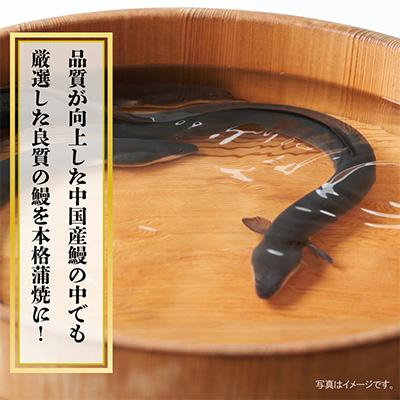 ふるさと納税 泉佐野市 秘伝のたれ仕込み うなぎ蒲焼 (約160g×3尾)鰻 ウナギ 中国産  炭火焼き099H852