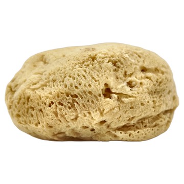 希臘海綿 CO455粗質 4.5-5吋  1個