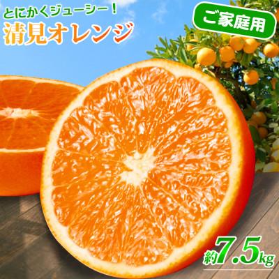 ふるさと納税 日高町 紀州有田産清見オレンジ　7.5kg