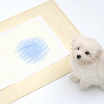 Waggly 狗狗防滑便溺墊  淺褐色  1個  標準(70 x 50 cm)