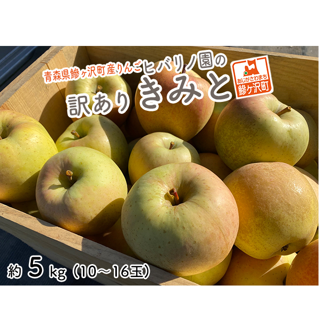 約　※オンライン決済のみ　りんご　蜜入り　果物　青森県　蜜　2023　鰺ヶ沢町産　5kg　フルーツ　訳あり　リンゴ　ヒバリノ園　青森　（10～16玉）　青森県産　きみと　林檎　LINEショッピング