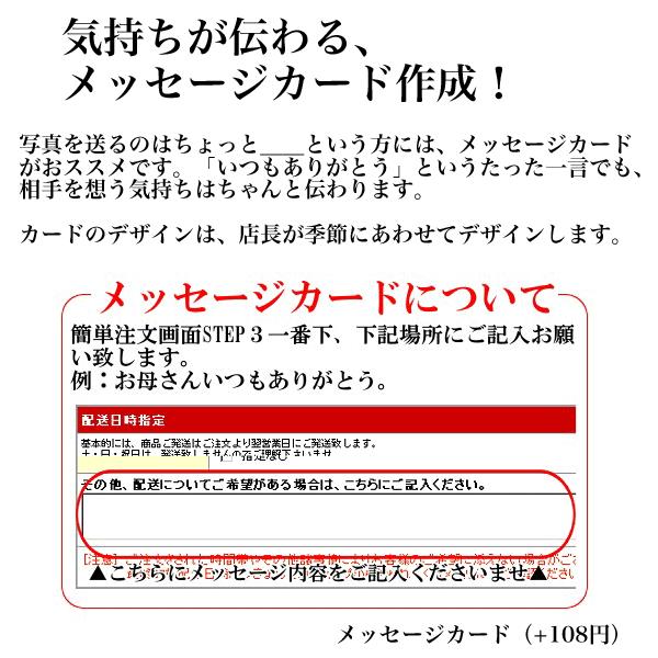 みかん 5kg 尾崎みかん 小玉サイズ 大分県産 お歳暮 ギフト