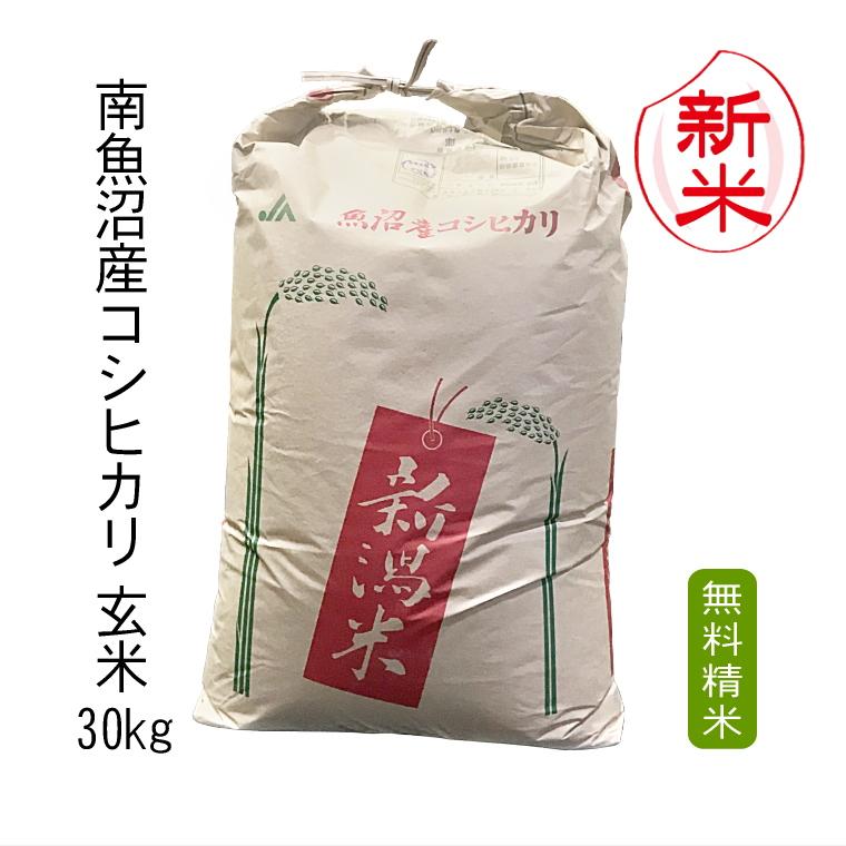 玄米 30kg 南魚沼産 コシヒカリ （ 玄米 ） 令和5年産 2等米 30kg