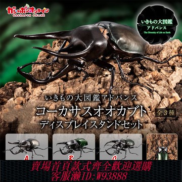 {可刷卡 打統編}[現貨] 萬代扭蛋 生物大圖鑒 南洋大兜蟲 甲殼蟲昆蟲擺件可動