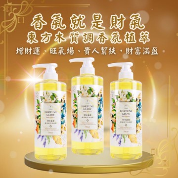 財庫滿盈能量植萃沐浴精 750ml3入組  (財神法會加持水/招財/午時水/補財氣/檀香/薰衣草/保平安/辟邪除穢)