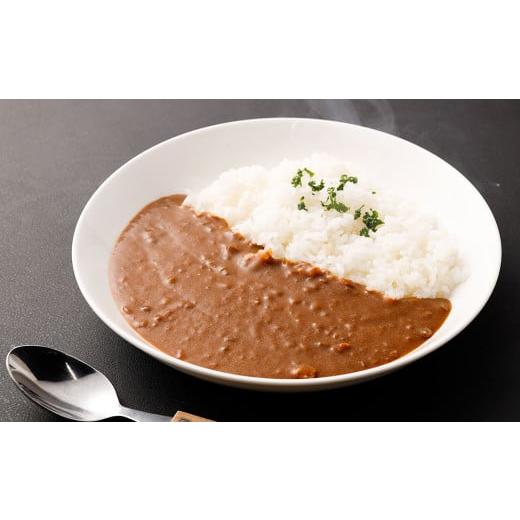 ふるさと納税 福岡県 遠賀町 博多和牛 レトルトカレー 10人前 ＆ とんこつ ラーメン 10人前 セット ビーフカレー 博多屋台 棒ラーメン